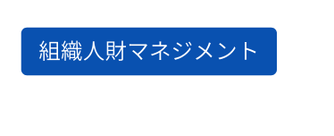 組織人財マネジメント